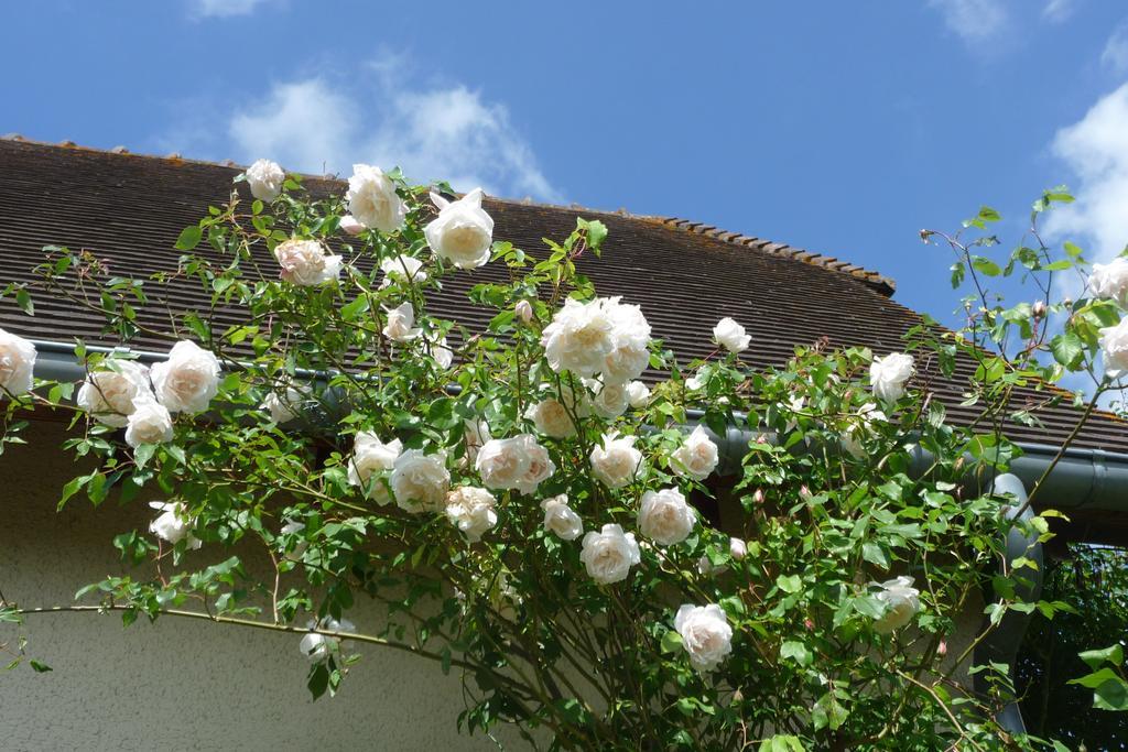 Maison D'Hotes Les Coquelicots Giverny Ruang foto