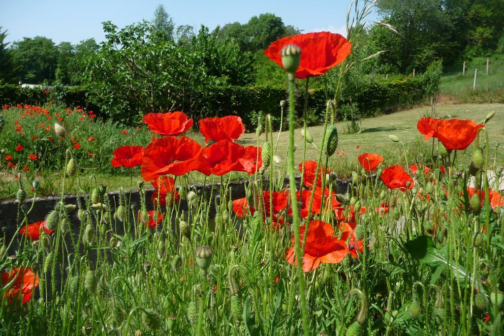 Maison D'Hotes Les Coquelicots Giverny Bagian luar foto