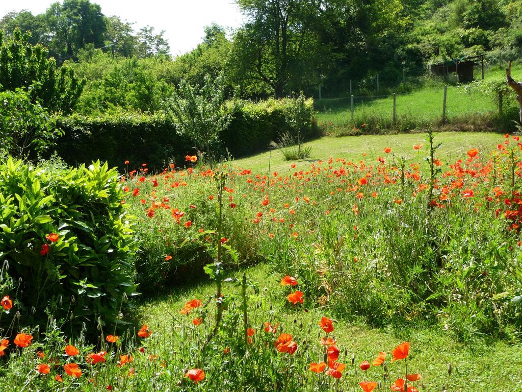 Maison D'Hotes Les Coquelicots Giverny Bagian luar foto