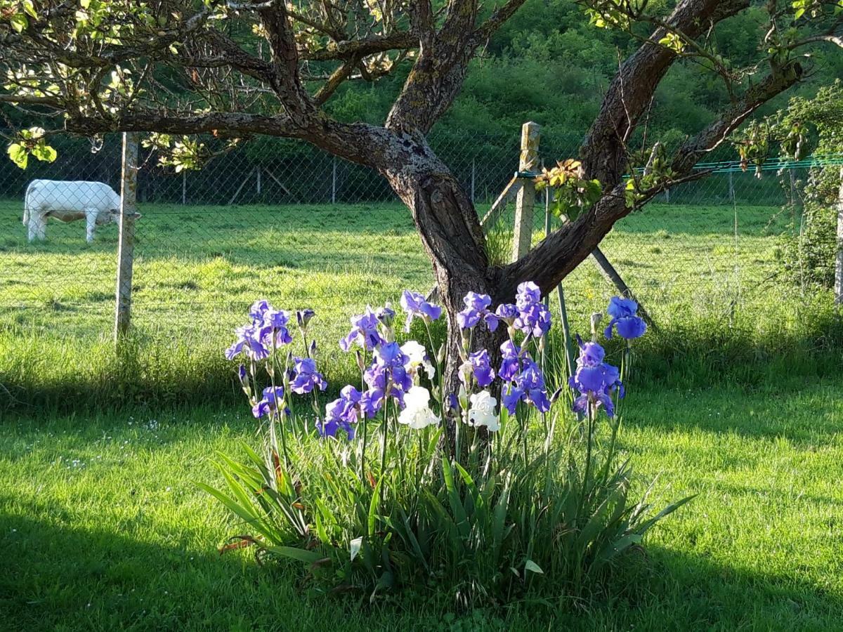 Maison D'Hotes Les Coquelicots Giverny Bagian luar foto